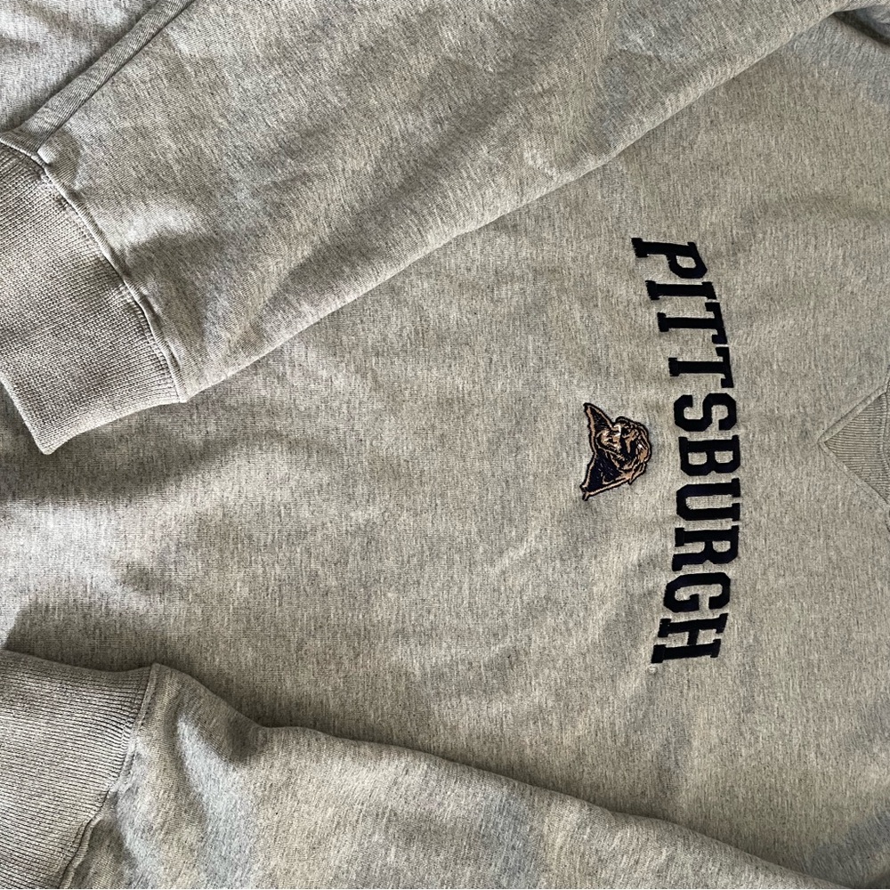 Pitt heavy sweatshirt